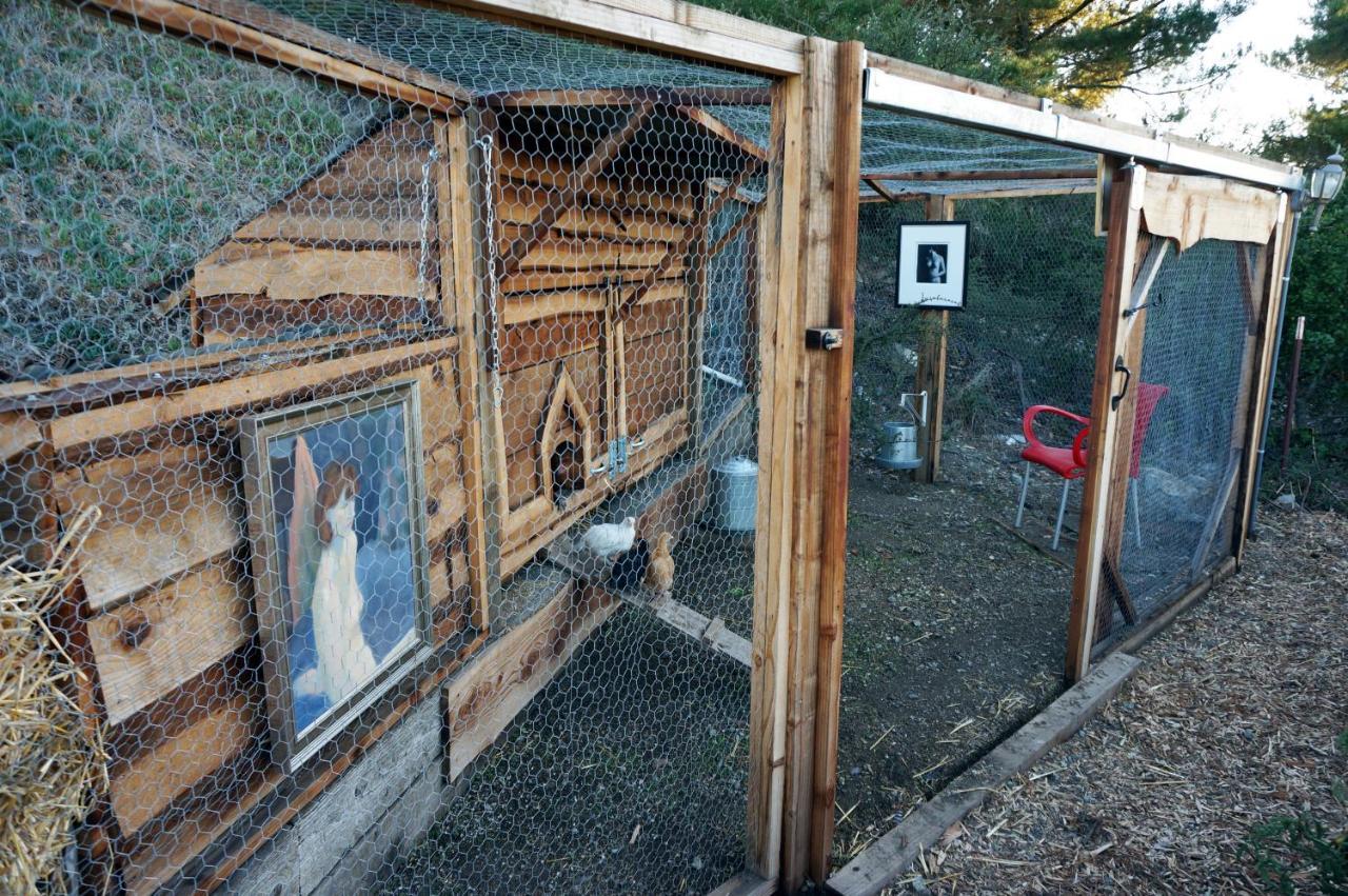 Mountain Top Getaway, Best View In Slo! - Whole House San Luis Obispo Esterno foto