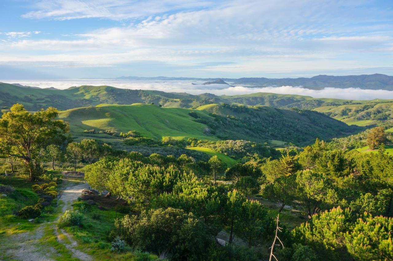 Mountain Top Getaway, Best View In Slo! - Whole House San Luis Obispo Esterno foto